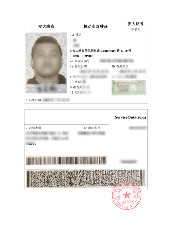 加拿大驾照翻译件