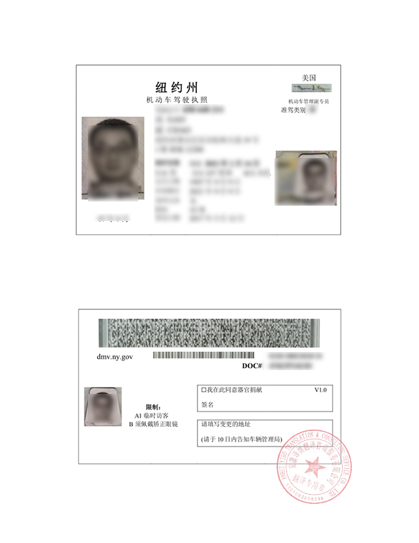美国纽约州驾照翻译件