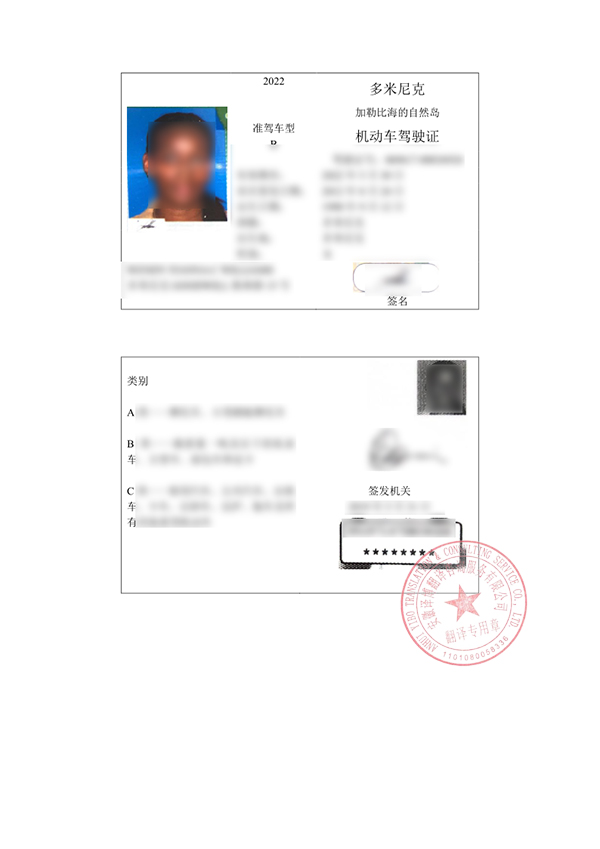 多米尼克驾照翻译件