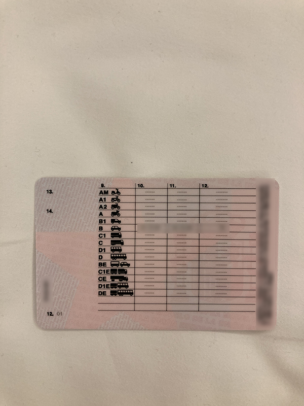 西班牙驾照原件